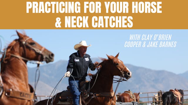 Practicing for Your Horse & Neck Catches