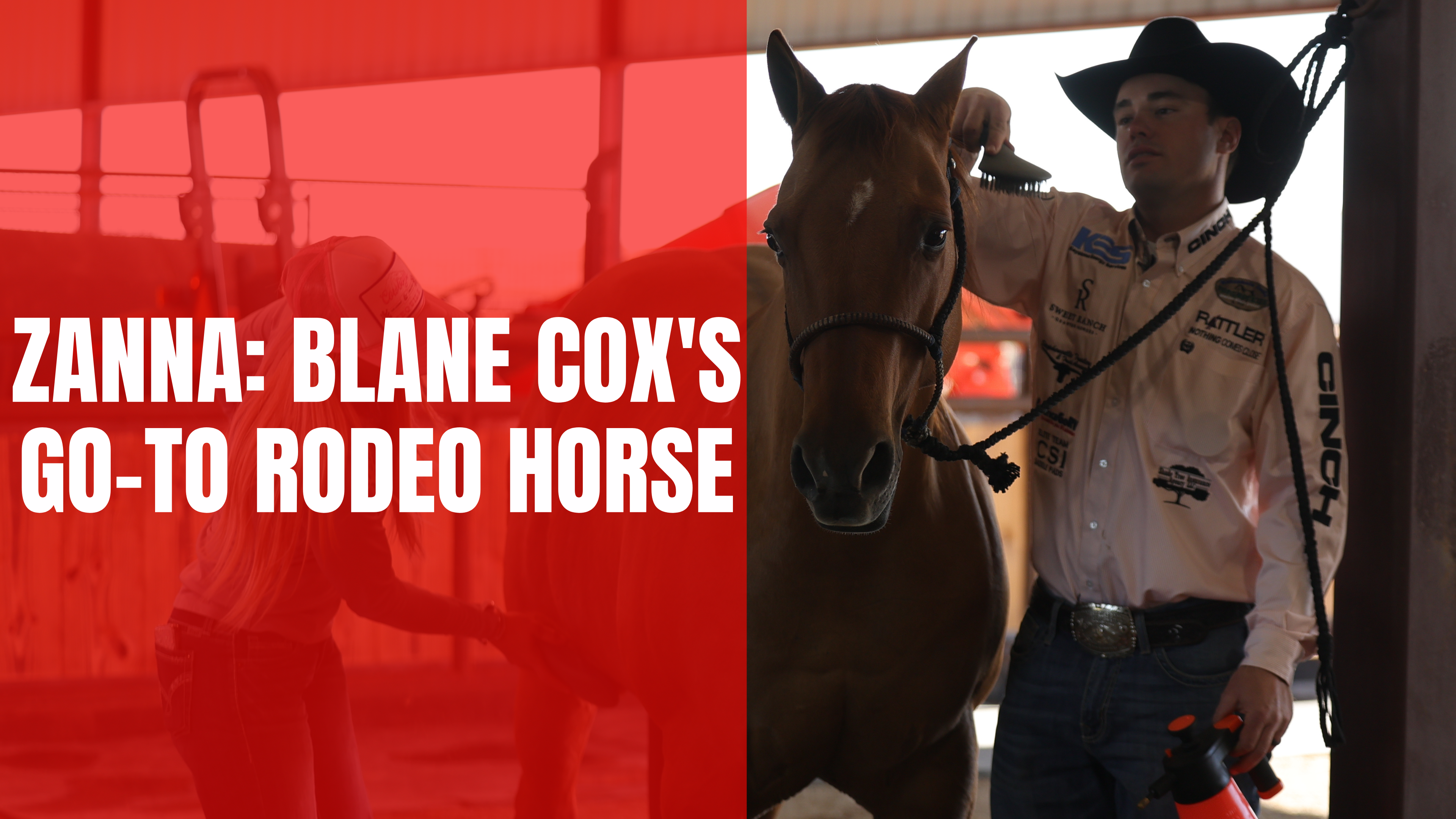 Zanna: Blane Cox's Go-To Rodeo Horse
