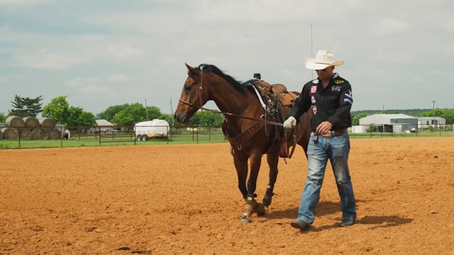The $2,700 NFR Horse: Levi Lord's LB