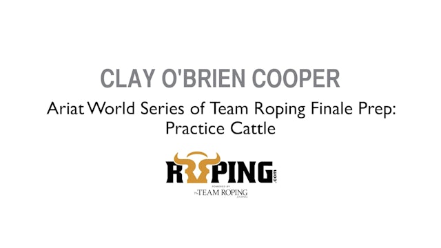 Ariat World Series of Team Roping Finale Prep: Practice Cattle