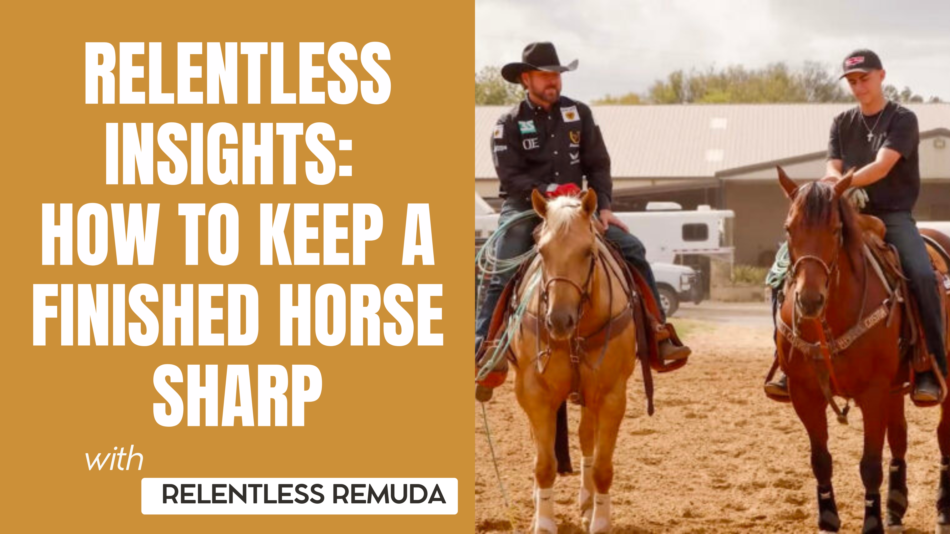 How to Keep a Finished Horse Sharp