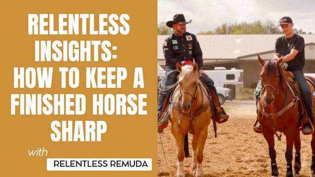 How to Keep a Finished Horse Sharp