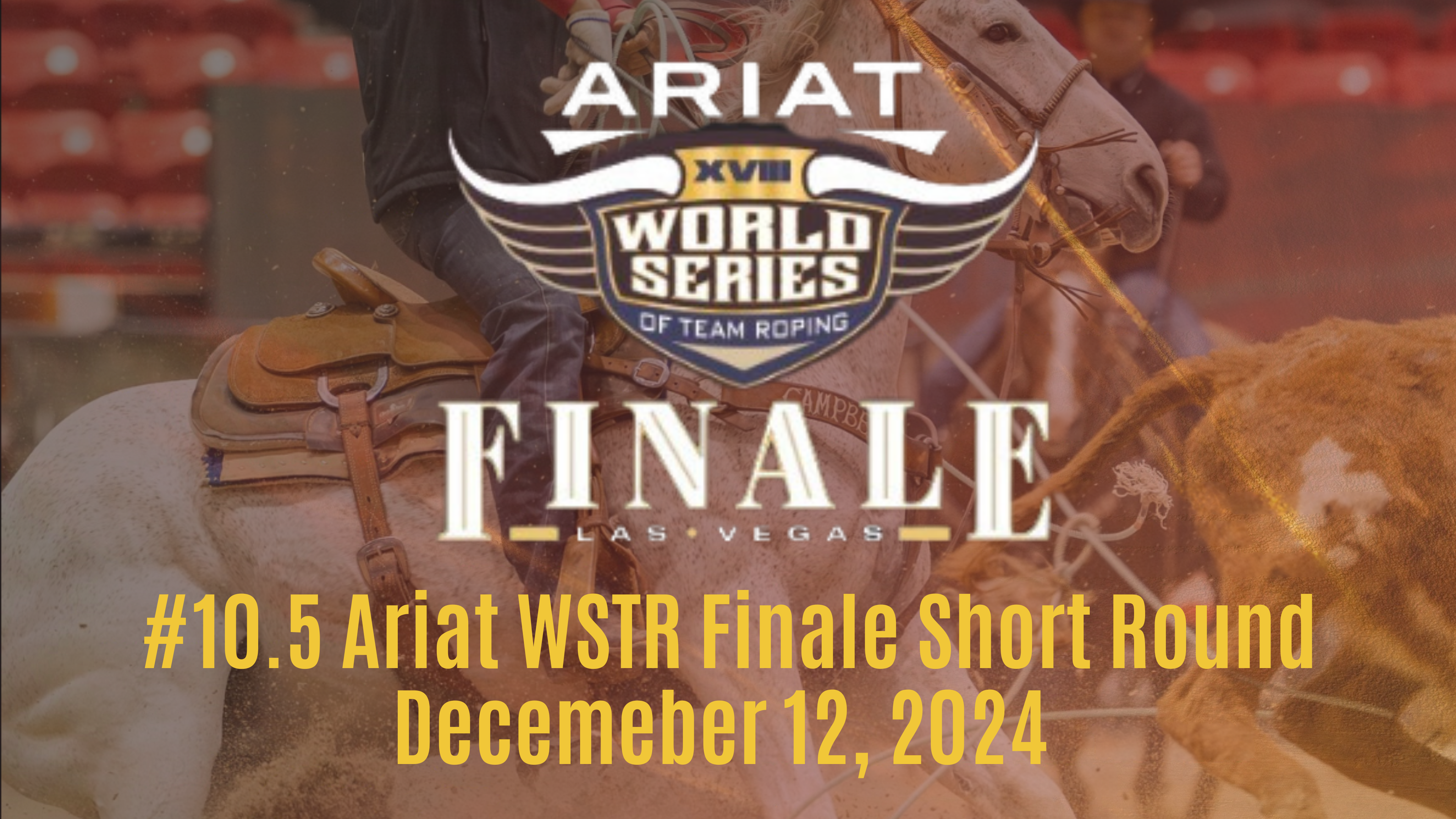YETI #10.5 Ariat WSTR Finale Short Round | December 12, 2024