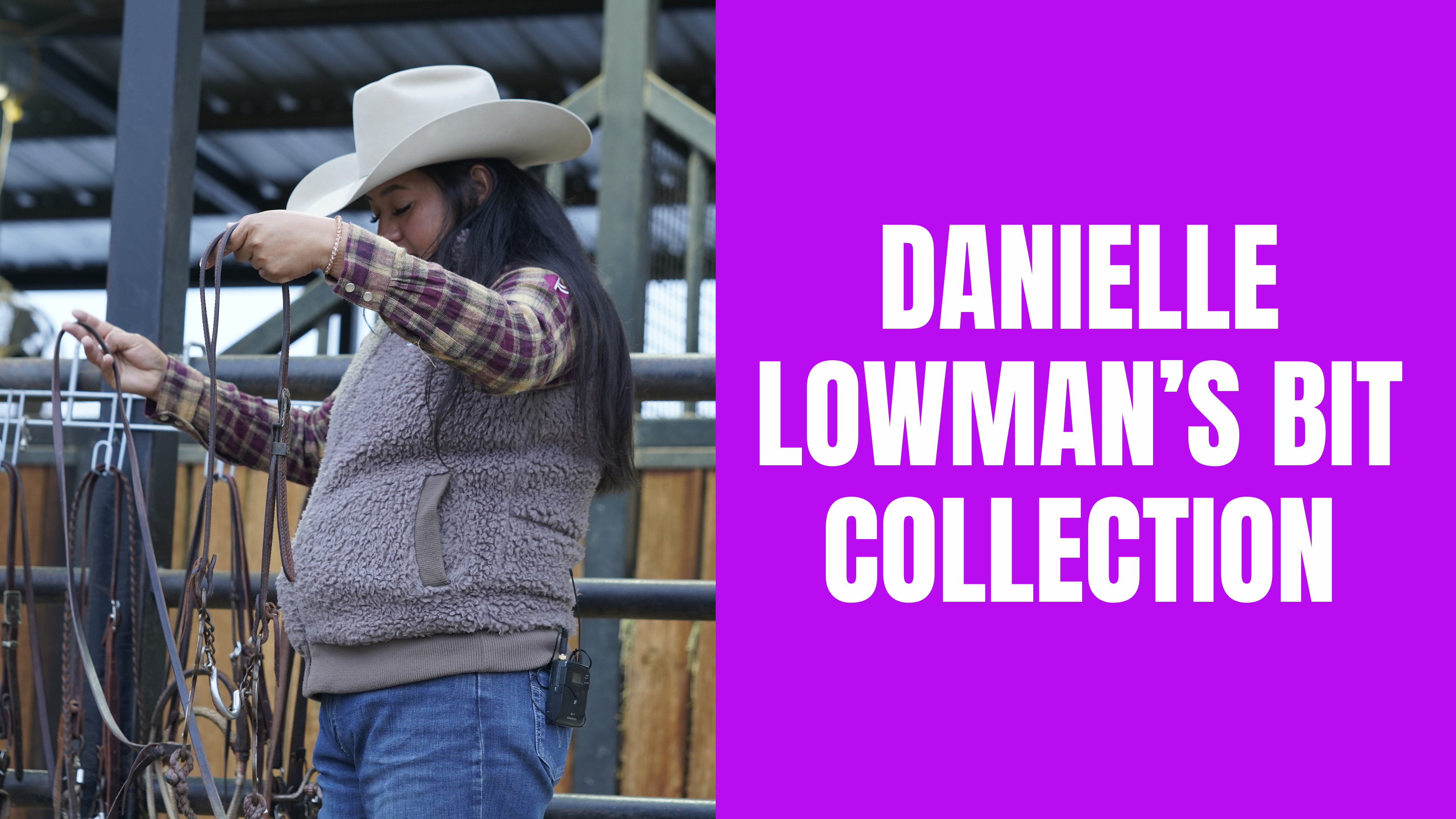 Danielle Lowman’s Bit Collection