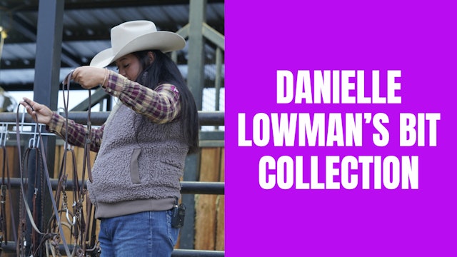 Danielle Lowman’s Bit Collection