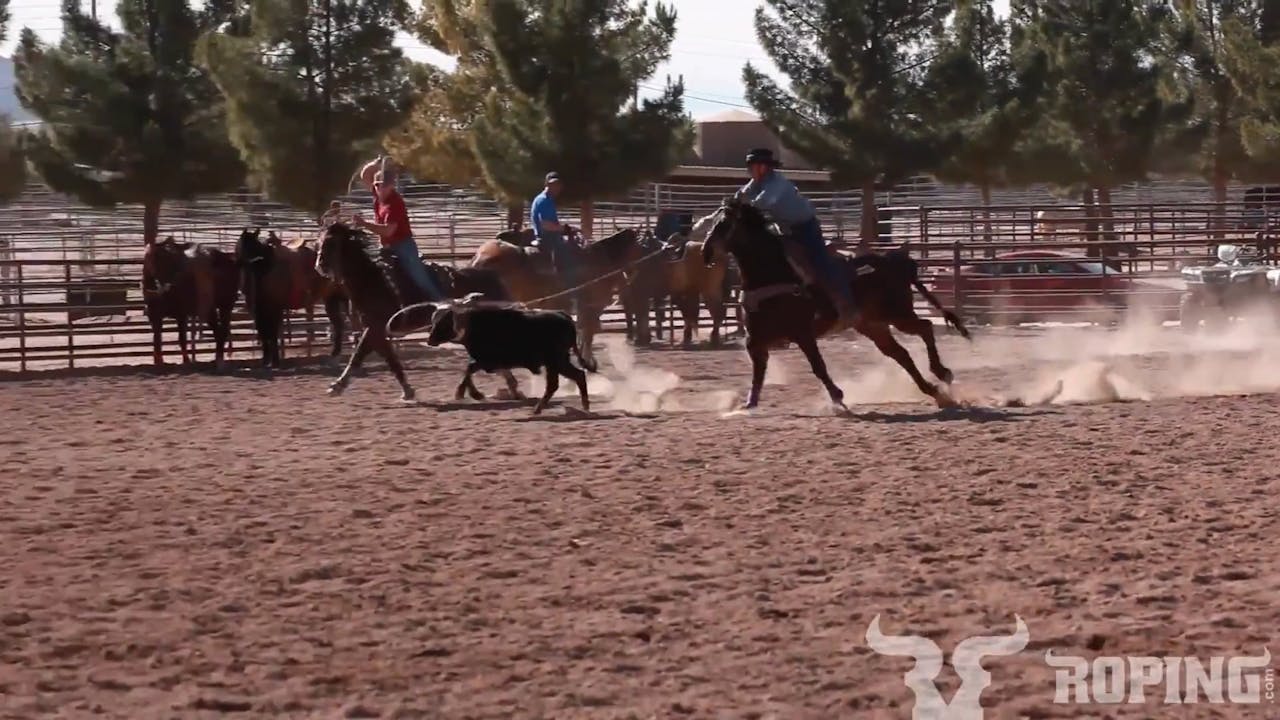 Setting The Steer Up For Your Heeler - Roping․com