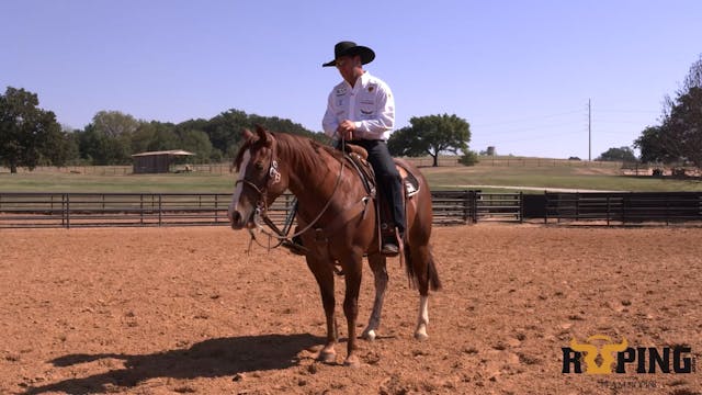 Practice Session on Ladux