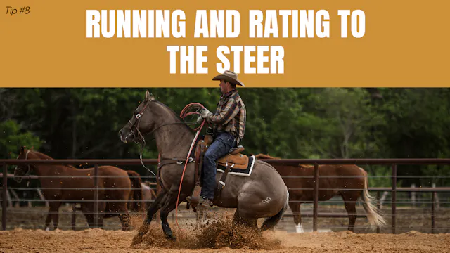 Running and Rating to the Steer