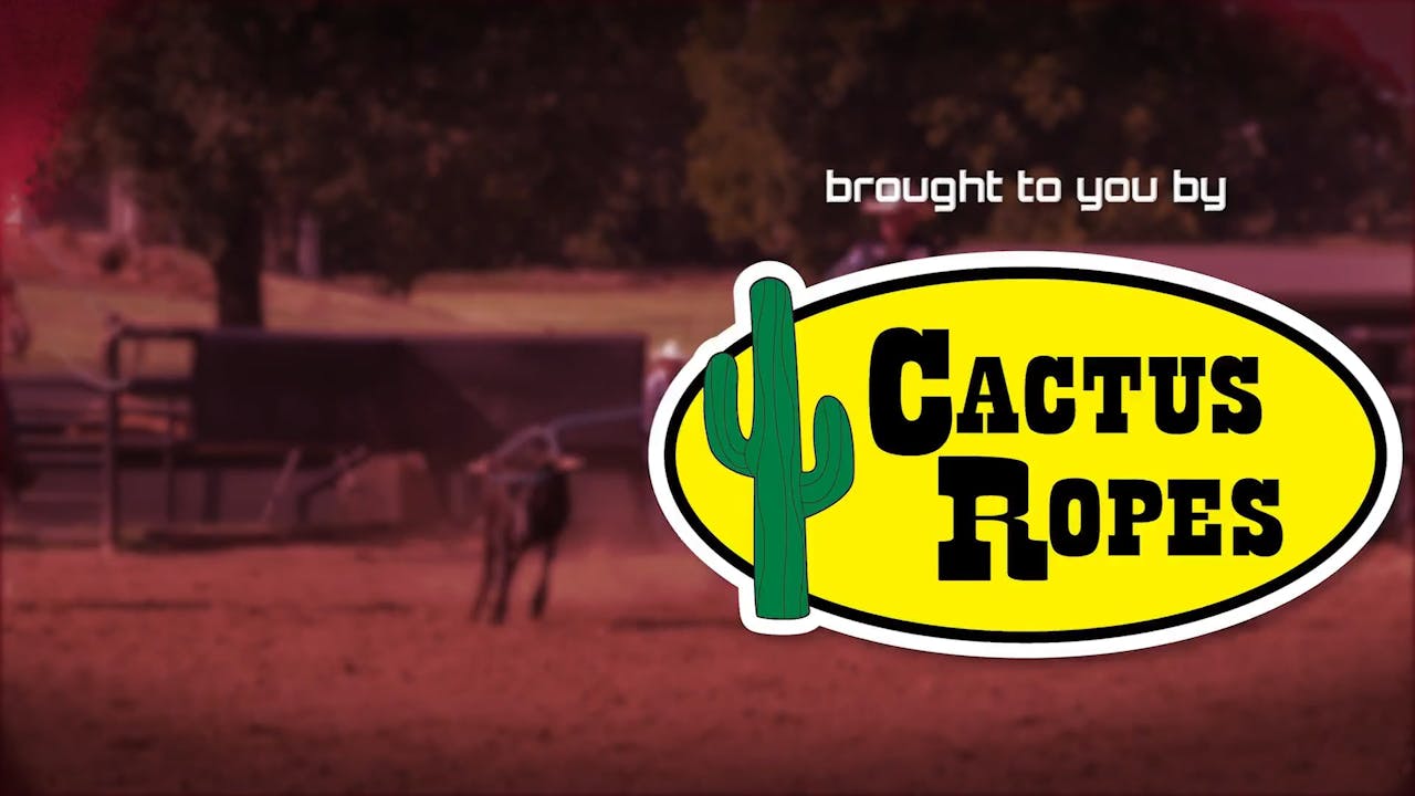 BitSwitch Understanding Head Horse Bit Progression