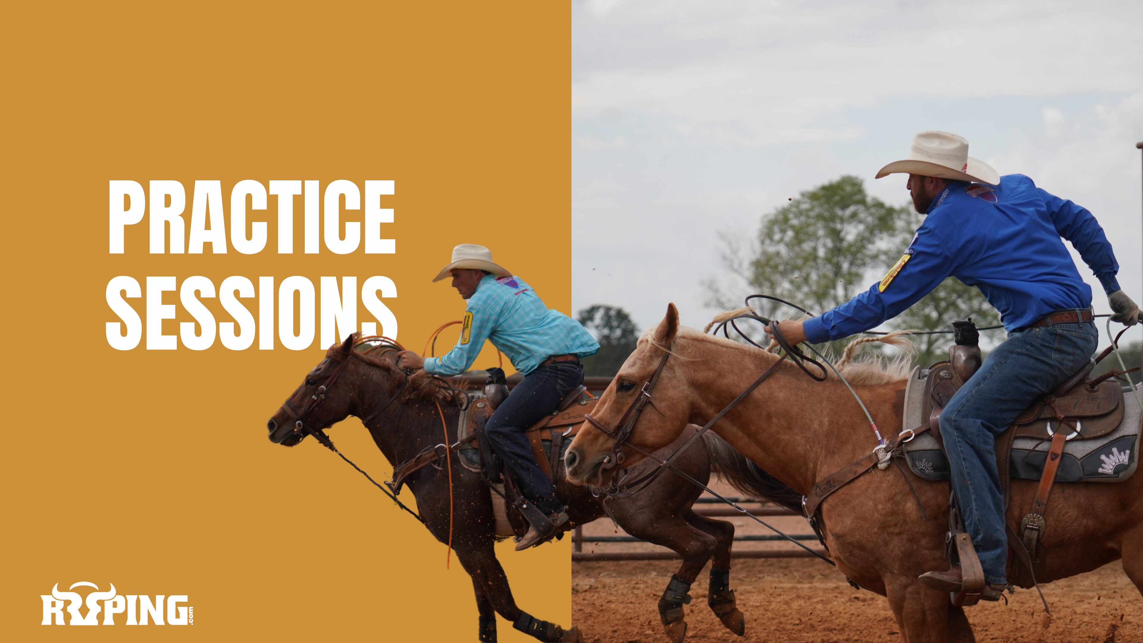 Team Roping Practice Sessions