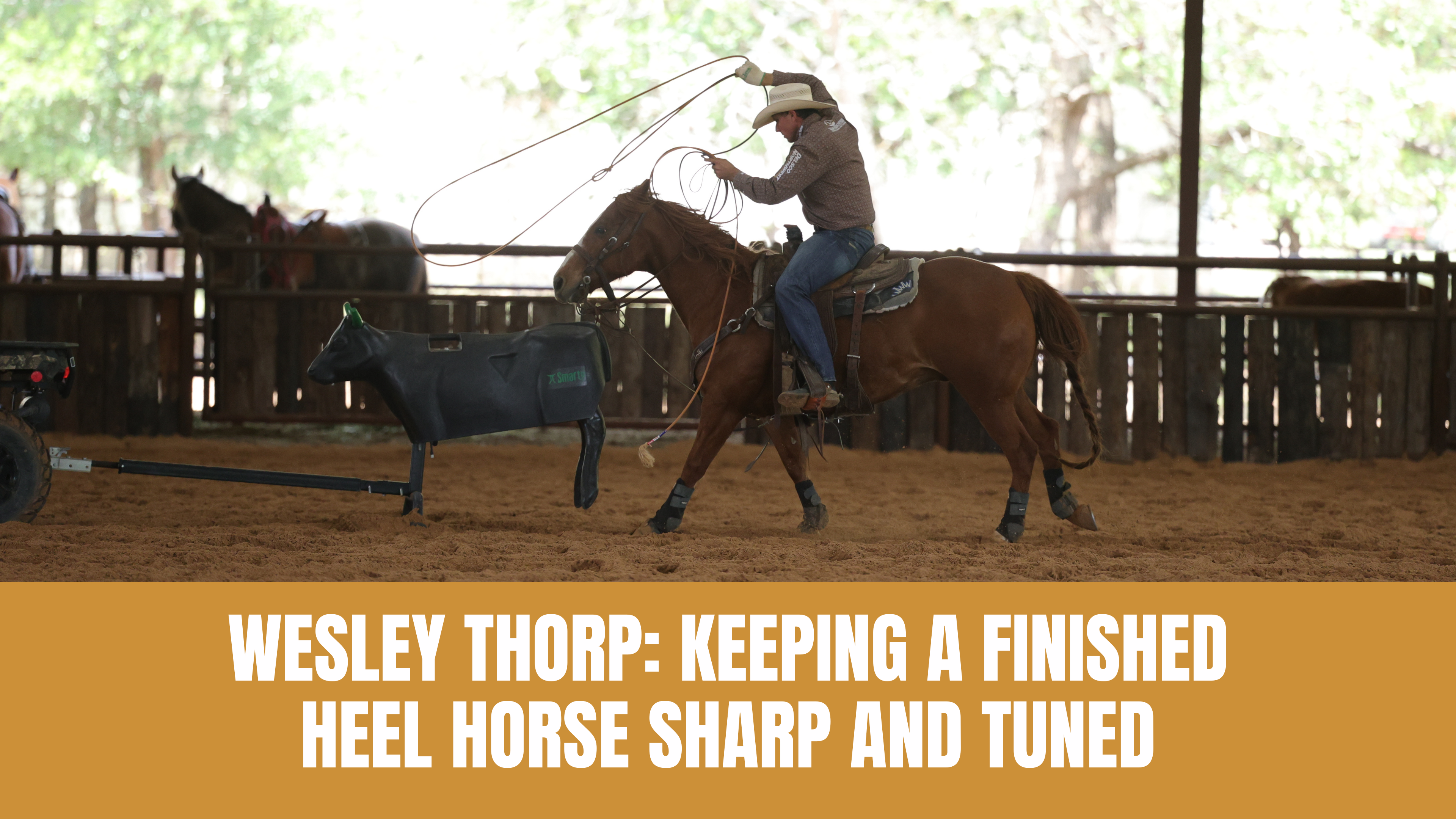 Wesley Thorp Trying a New Heel Horse