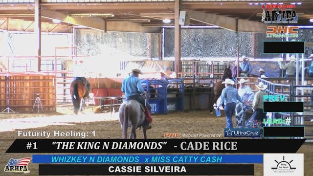 Oil Can Classic - Futurity Heeling - ...