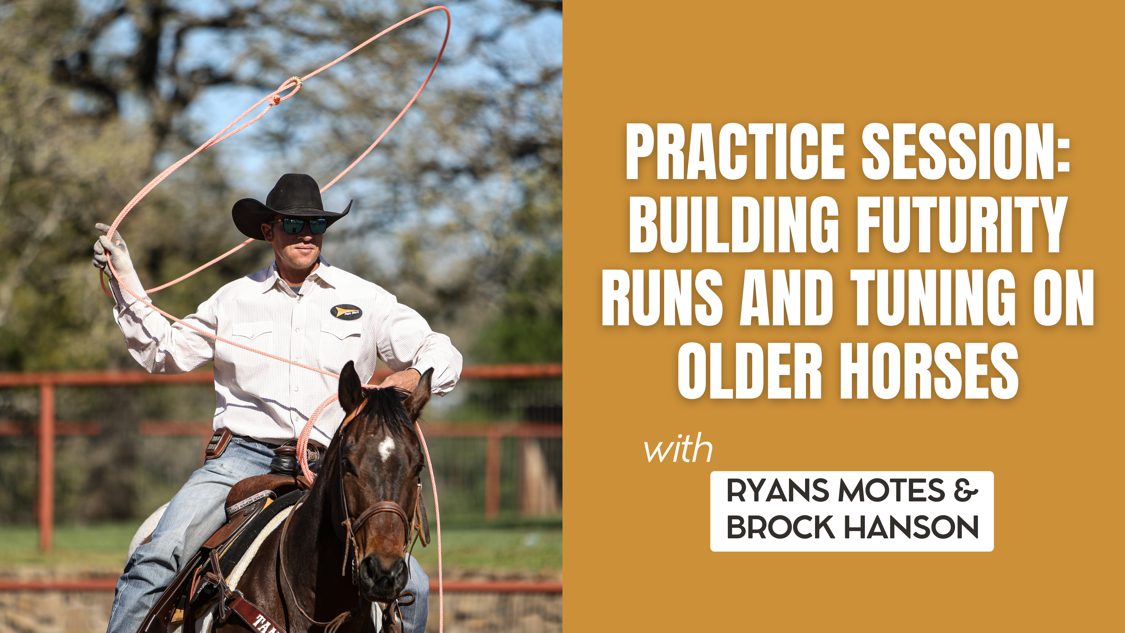 Practice Session: Building Futurity Runs and Tuning on Older Horses