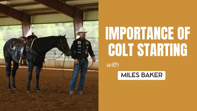 Importance of Colt Starting