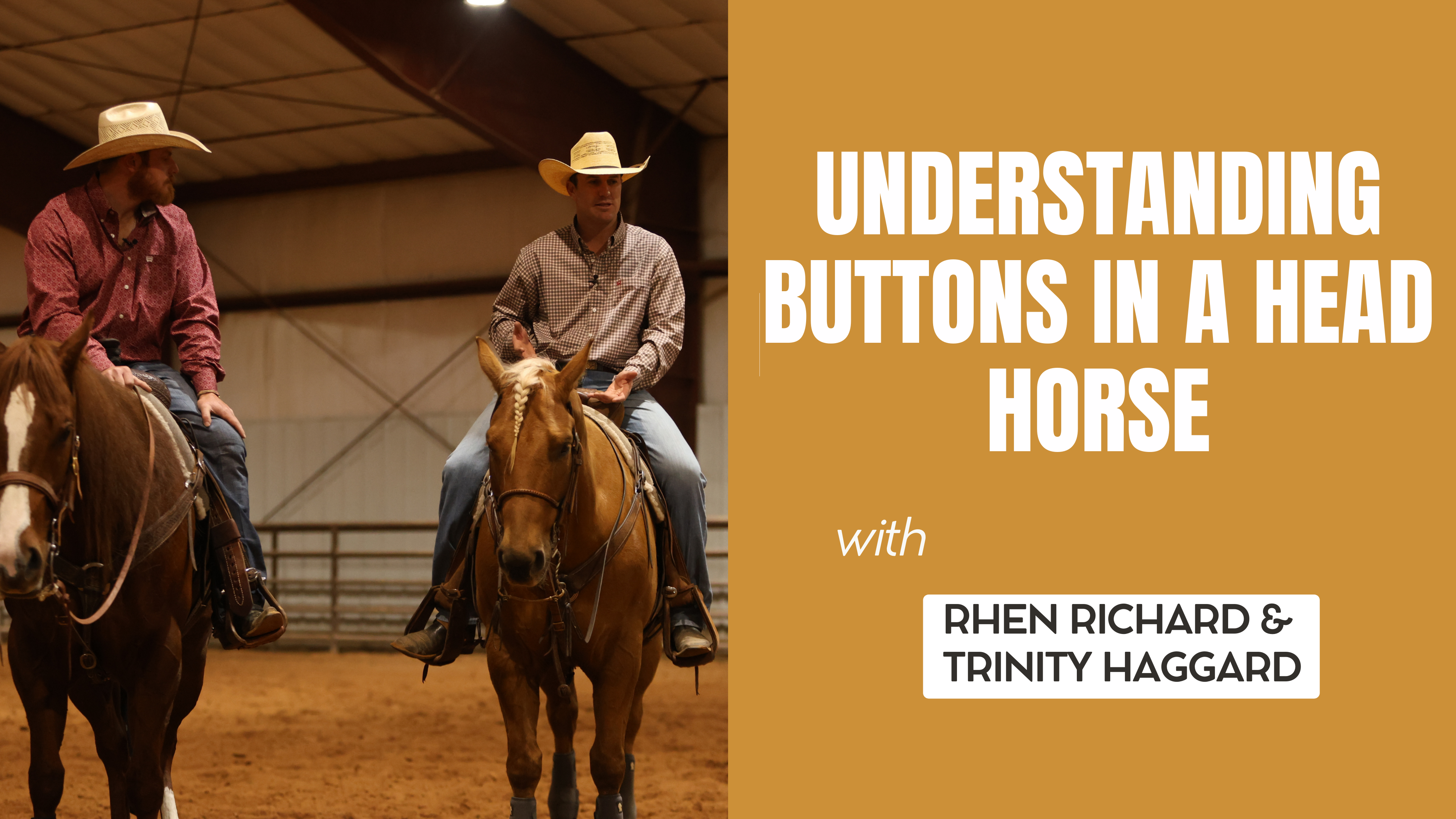 Understanding Buttons in a Head Horse