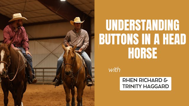 Understanding Buttons in a Head Horse