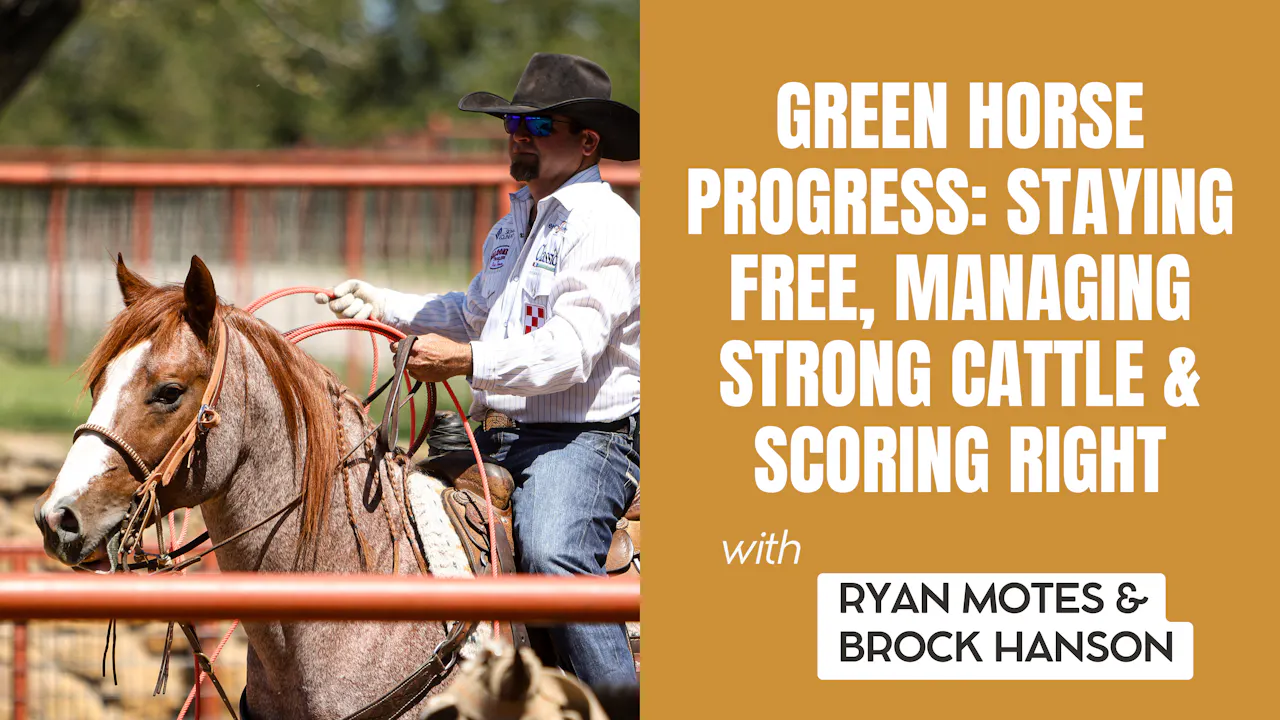 Green Horse Progress: Staying Free, Managing Strong Cattle & Scoring ...