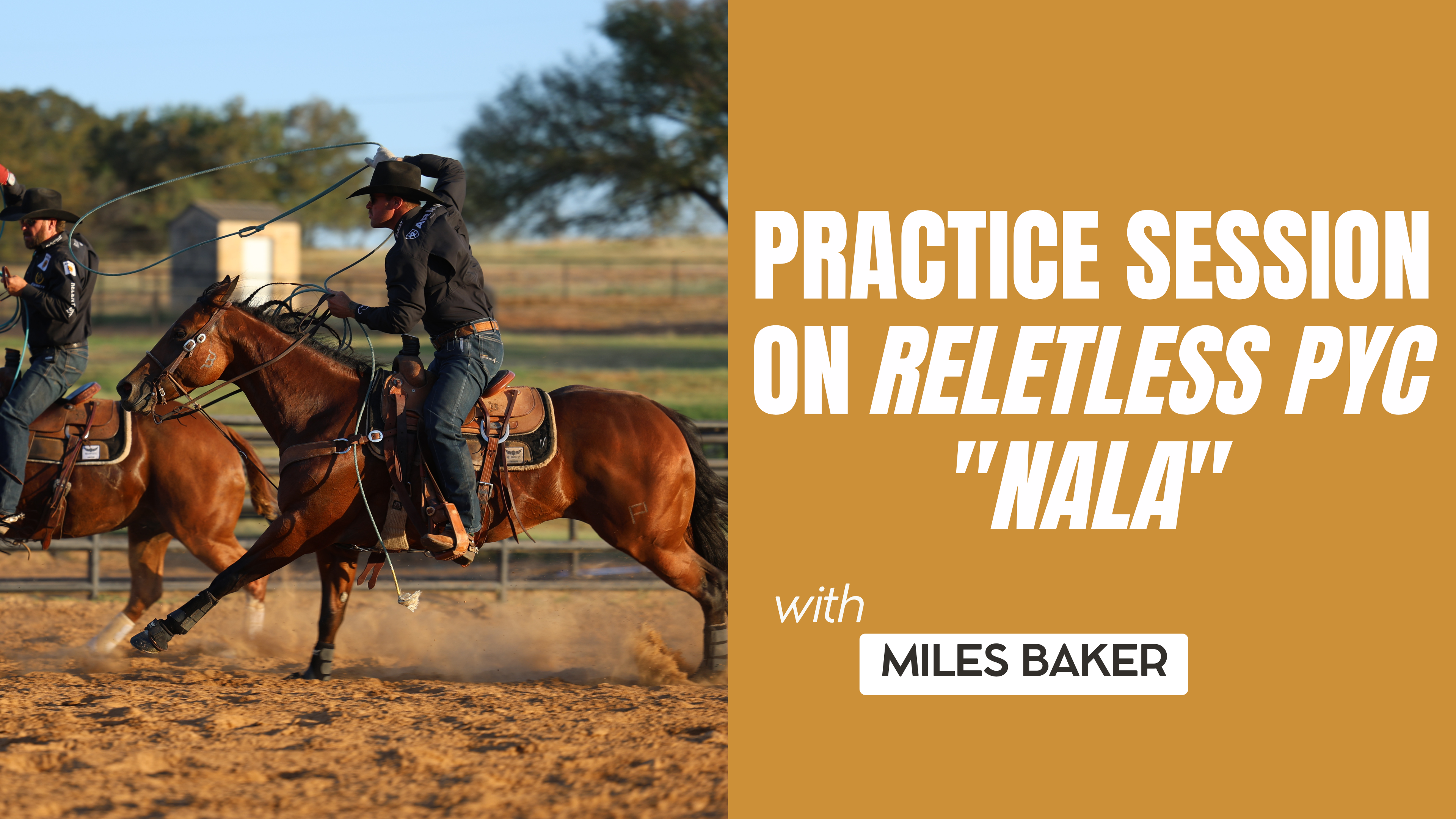 Practice Session on Reletless PYC "Nala"