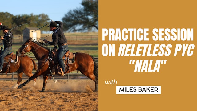 Practice Session on Reletless PYC "Nala"