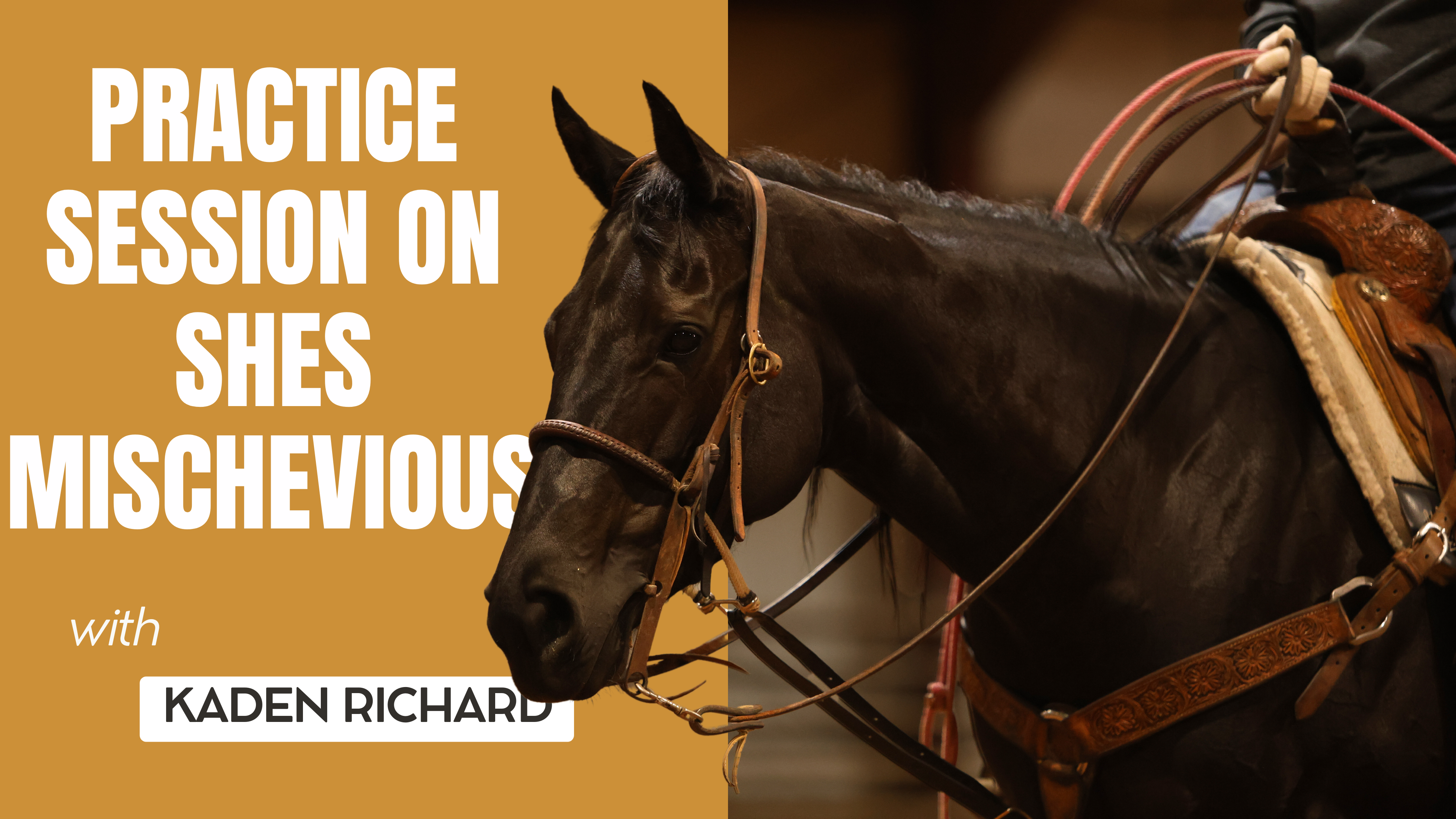 Practice Session on Shes Mischievous 