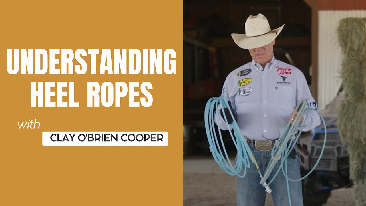 Understanding Heel Ropes - Roping․com