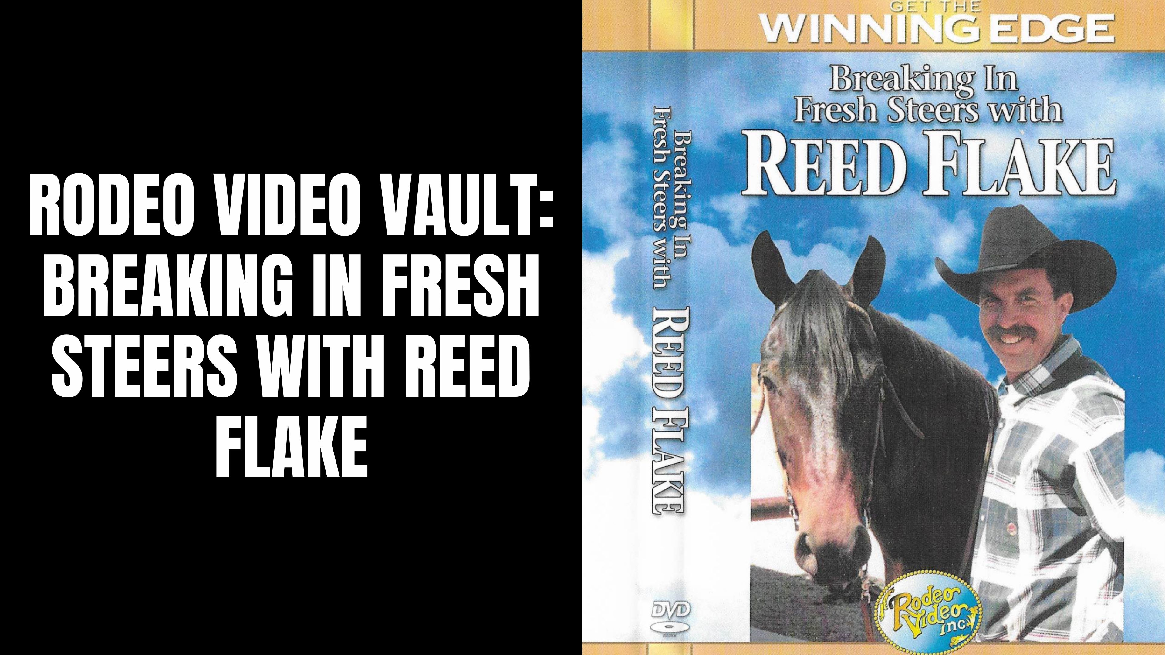 Breaking in Fresh Steers with Reed Flake