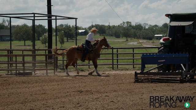 Pen Roping on a 3-Year-Old Filly with...