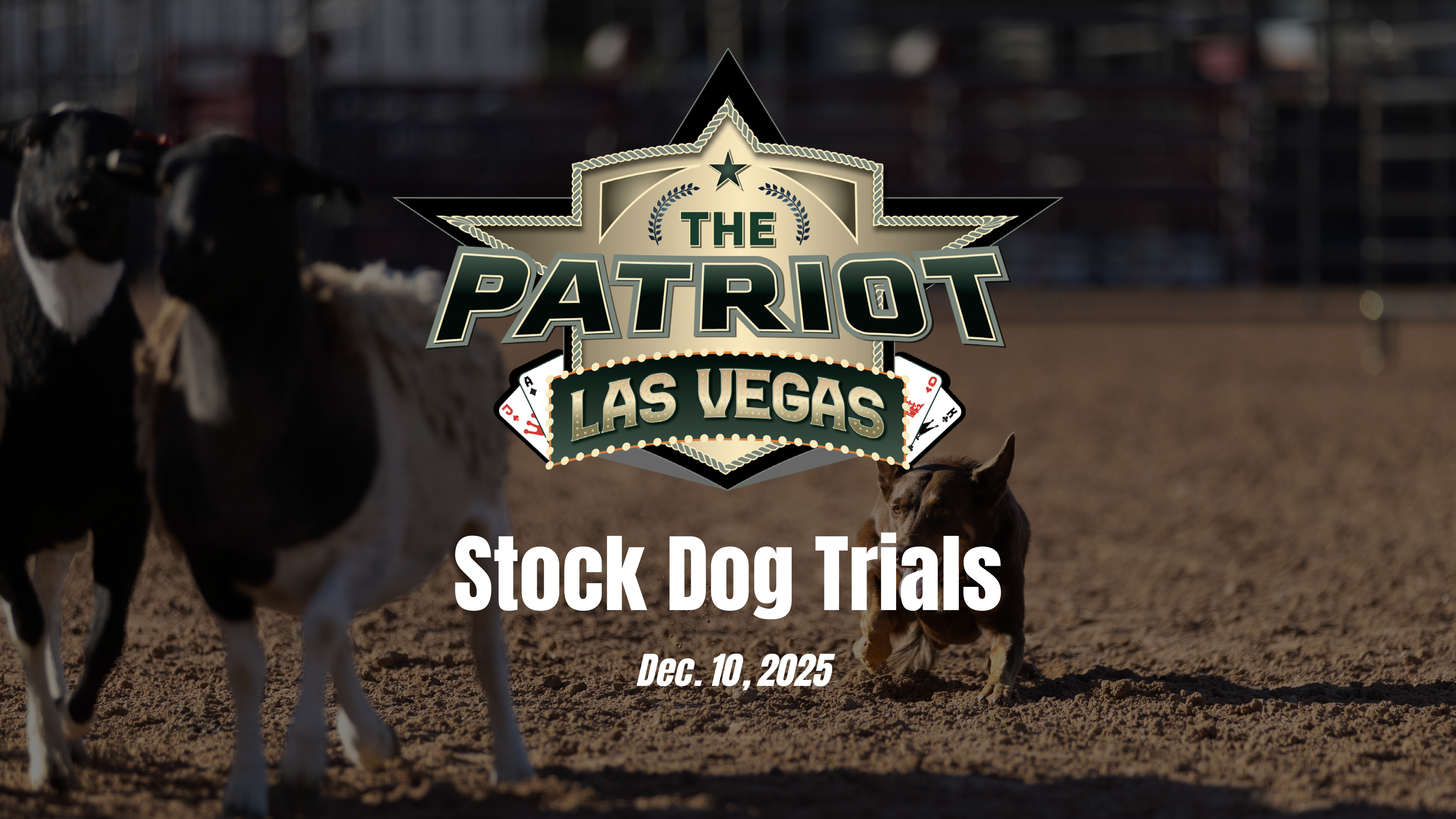 Stock Dog Trials | Patriot Las Vegas | December 10, 2025