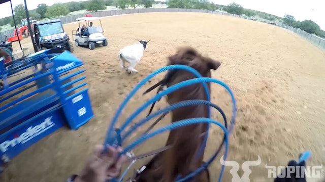 Seeing the Feet: Slow-Motion, Head-Cam Heeling View