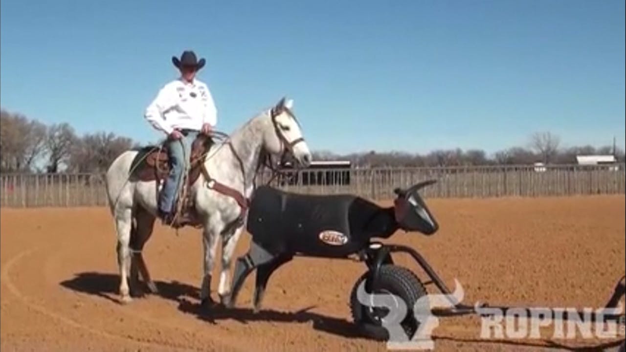 How Tying On Changes a Heeler’s Delivery - Roping․com