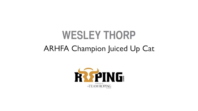 ARHFA Champion Juiced Up Cat