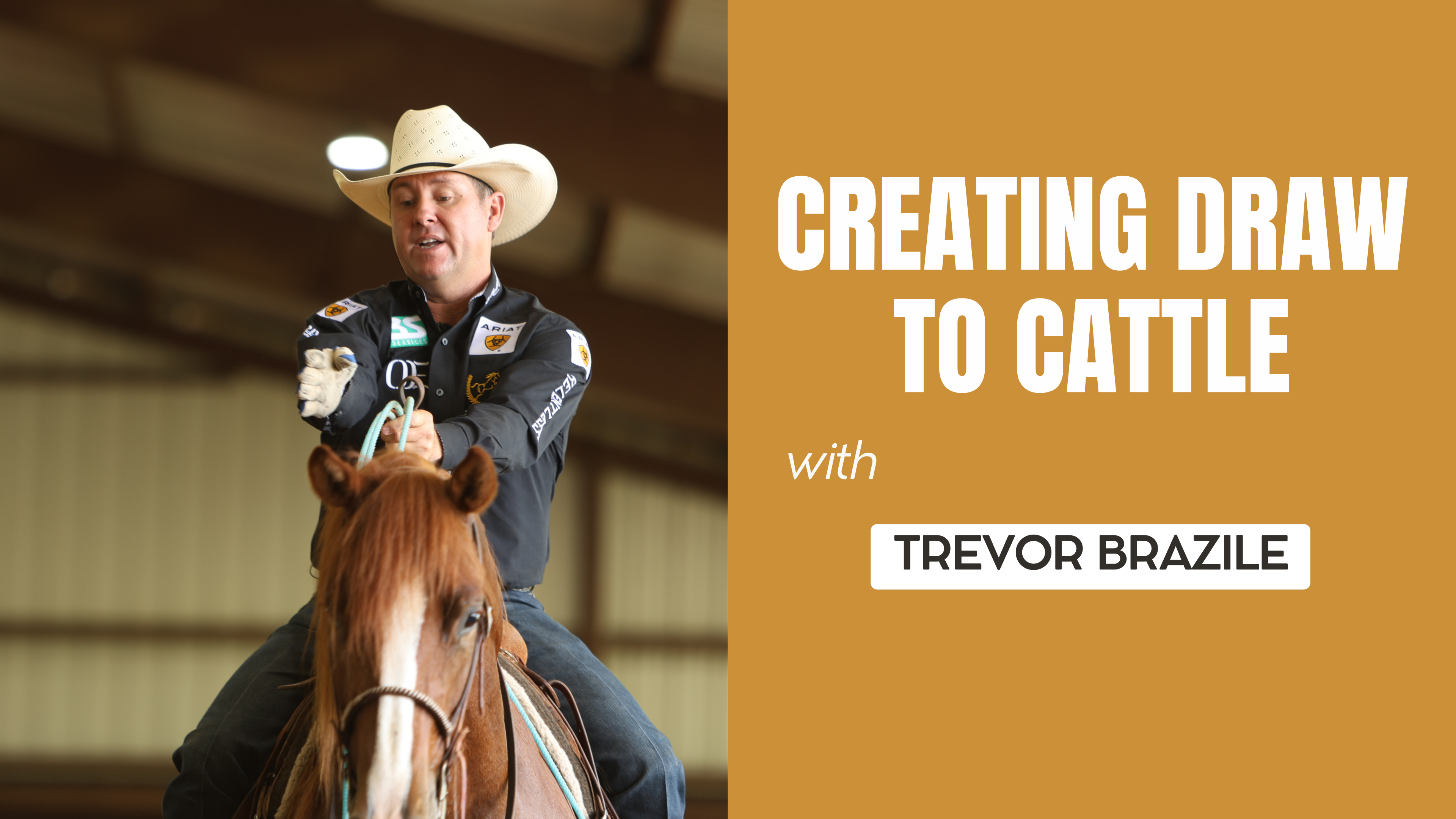 Creating Draw to Cattle