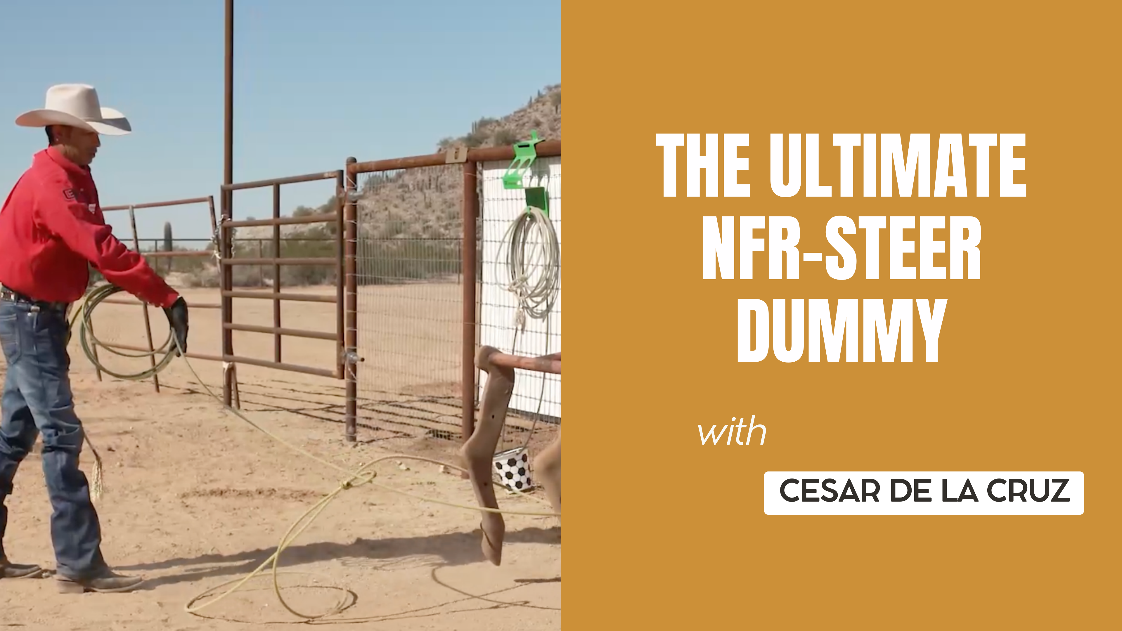 The Ultimate NFR-Steer Dummy