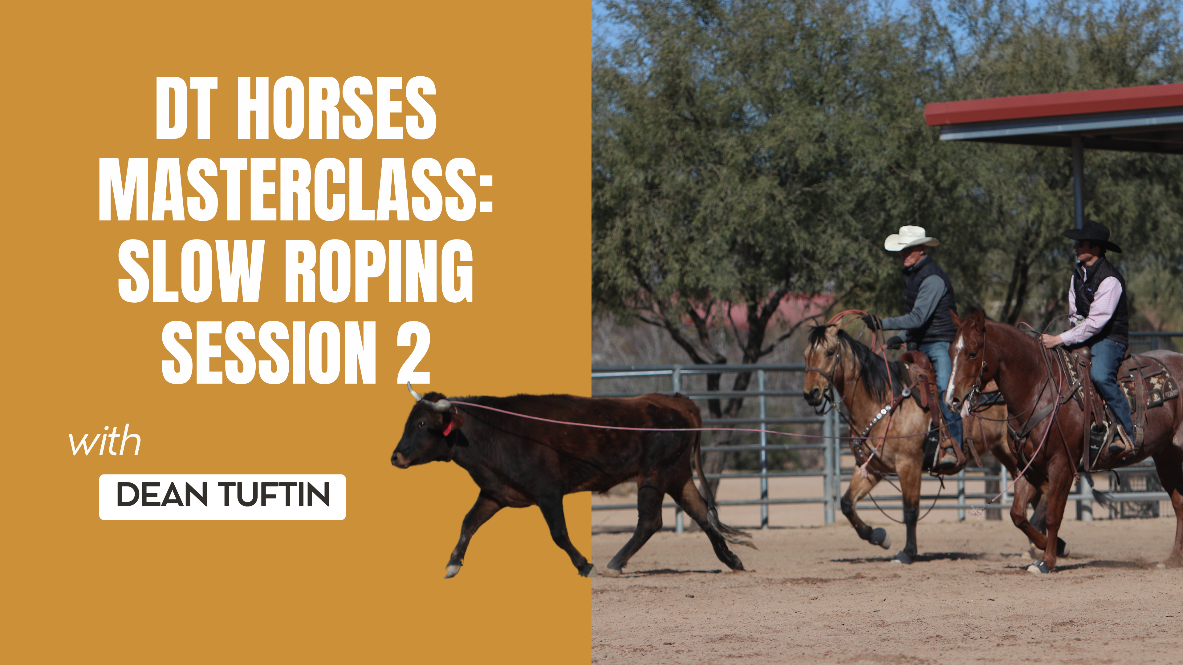 DT Horses Masterclass: Slow Roping Session 2