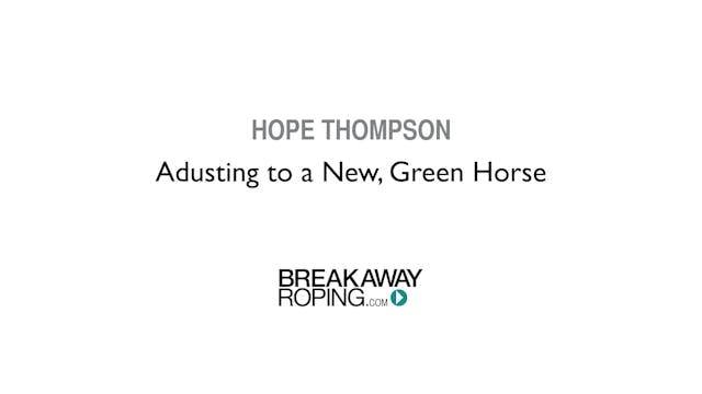 Adusting to a New, Green Horse