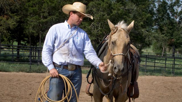 Essential Tie-Down Roping Gear