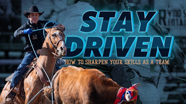 Trailer: Stay Driven