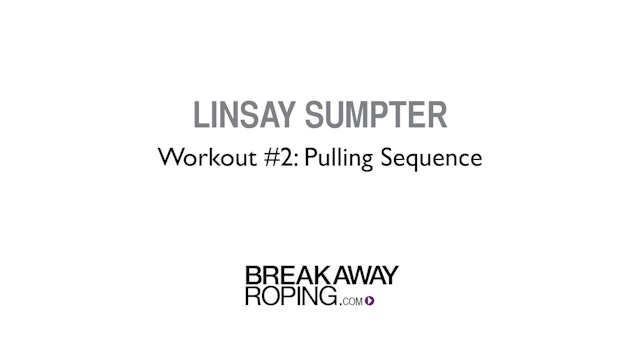 Workout #2: Pulling Sequence