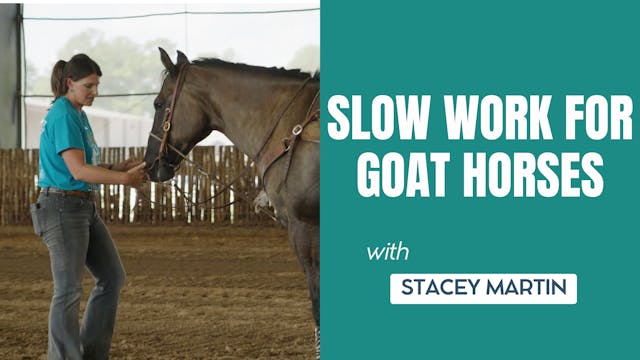 Slow Work for Goat Horses