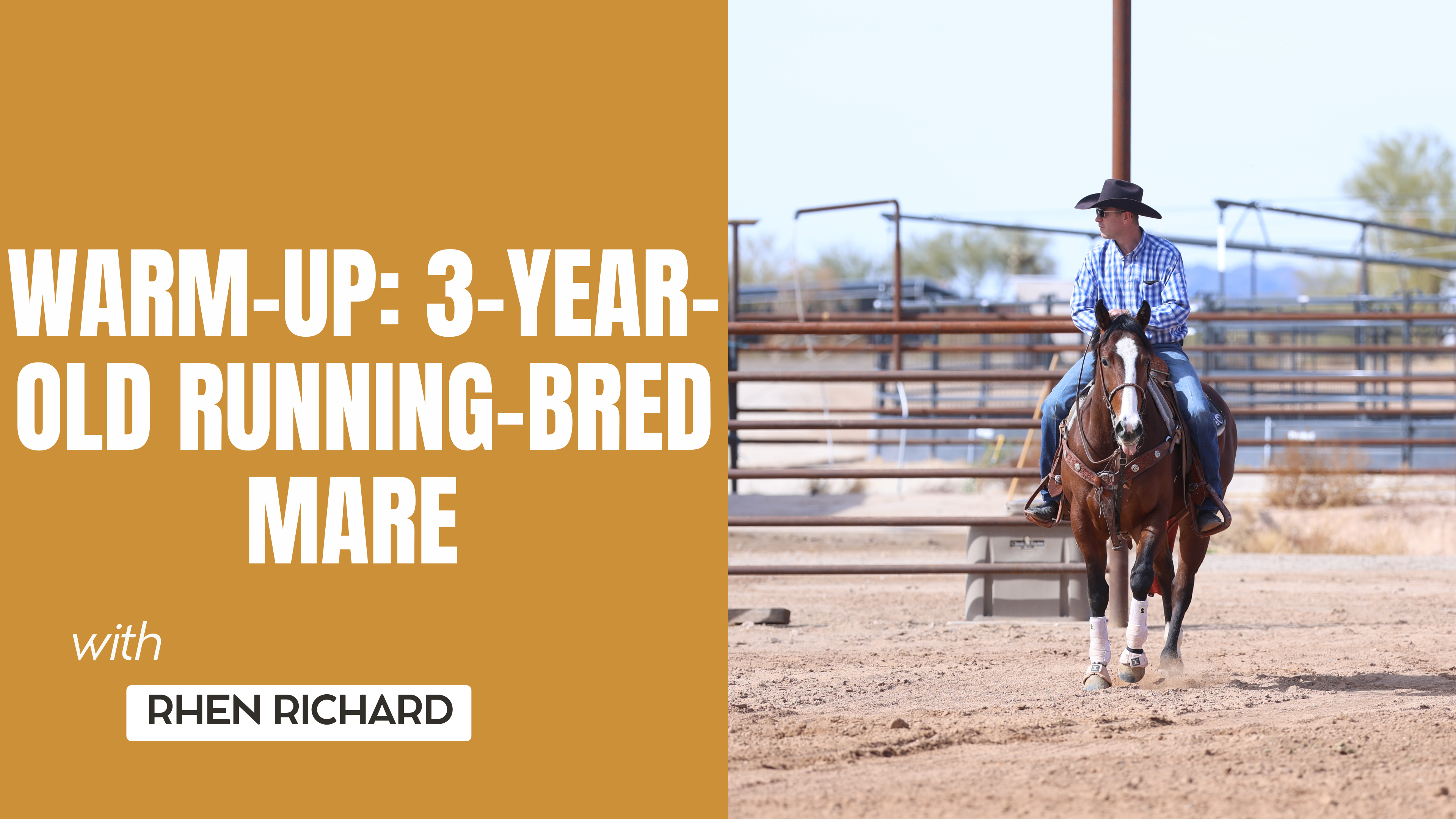 Warm-Up: 3-Year-Old Running-Bred Mare