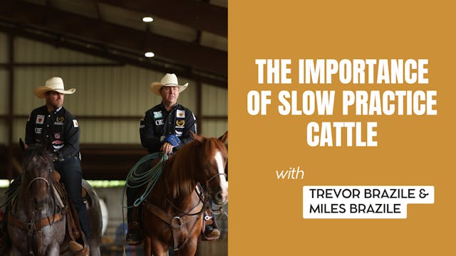 The Importance of Slow Practice Cattle