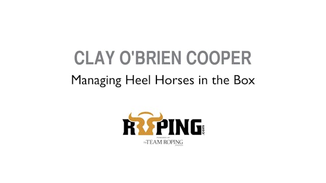 Managing Heel Horses in the Box