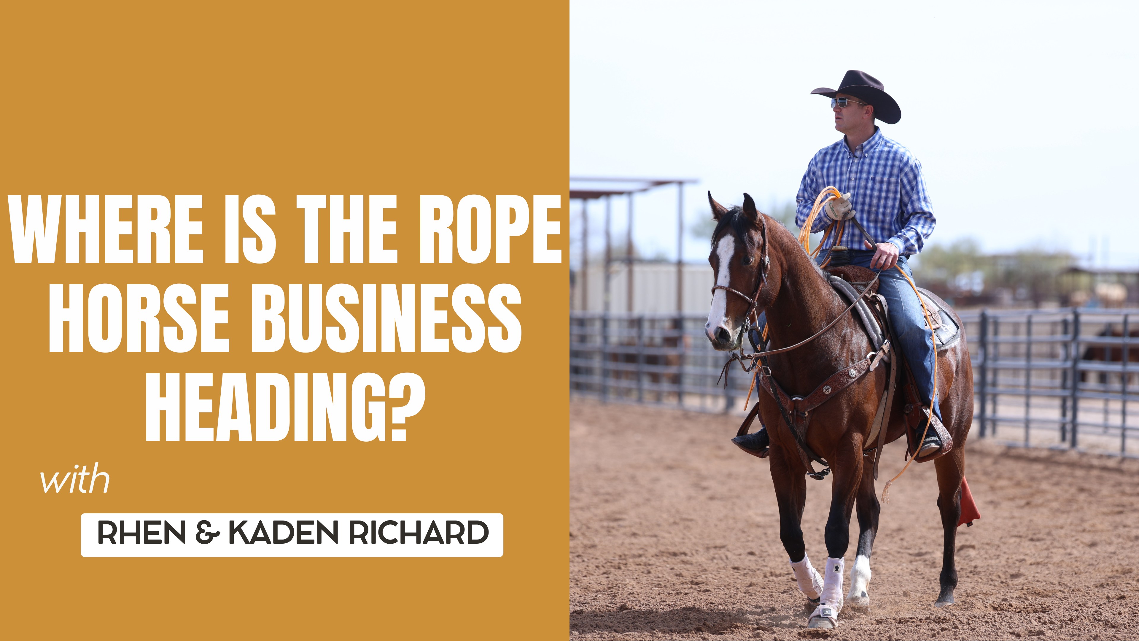 Where is the Rope Horse Business Heading?