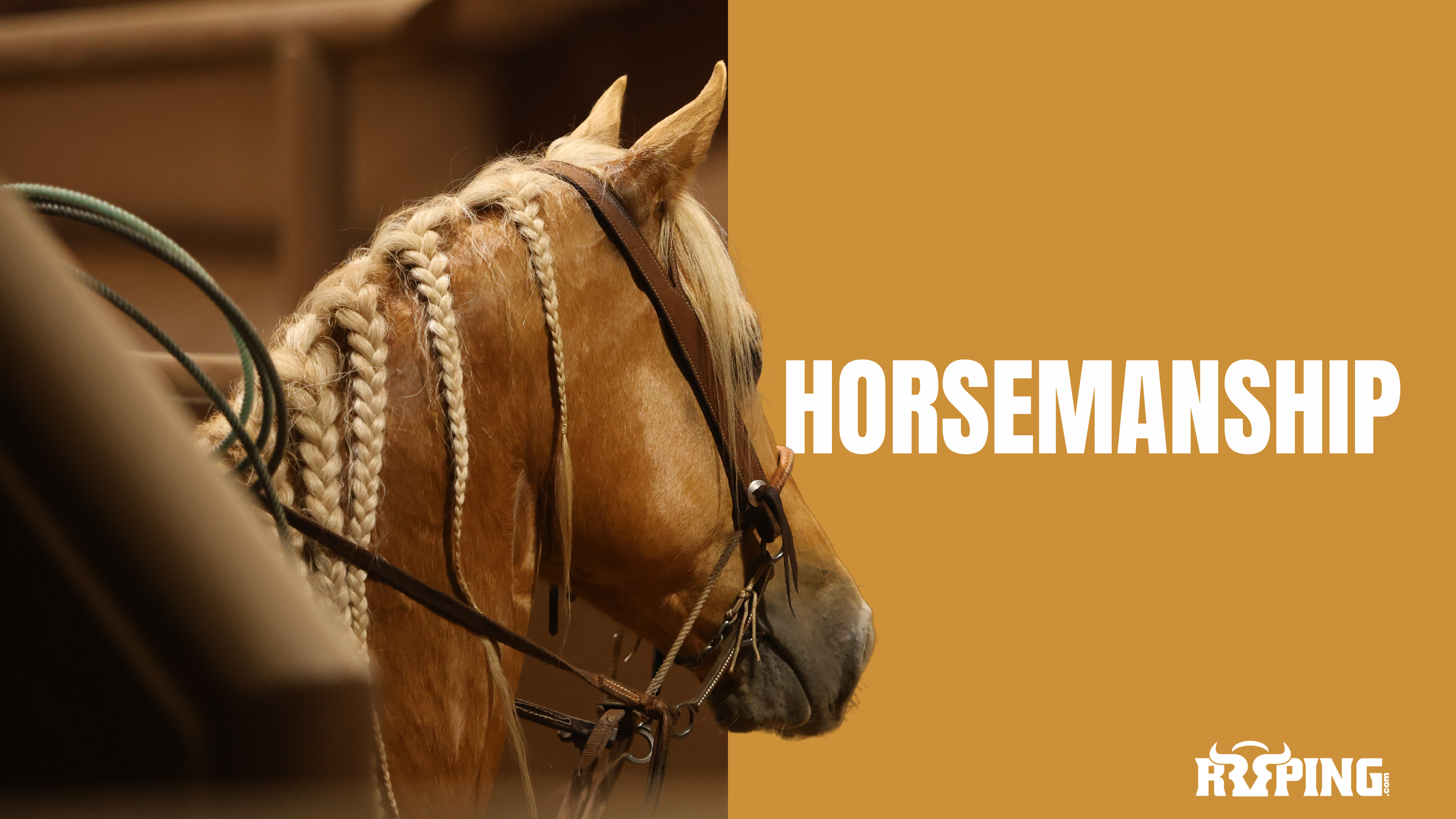 Horsemanship