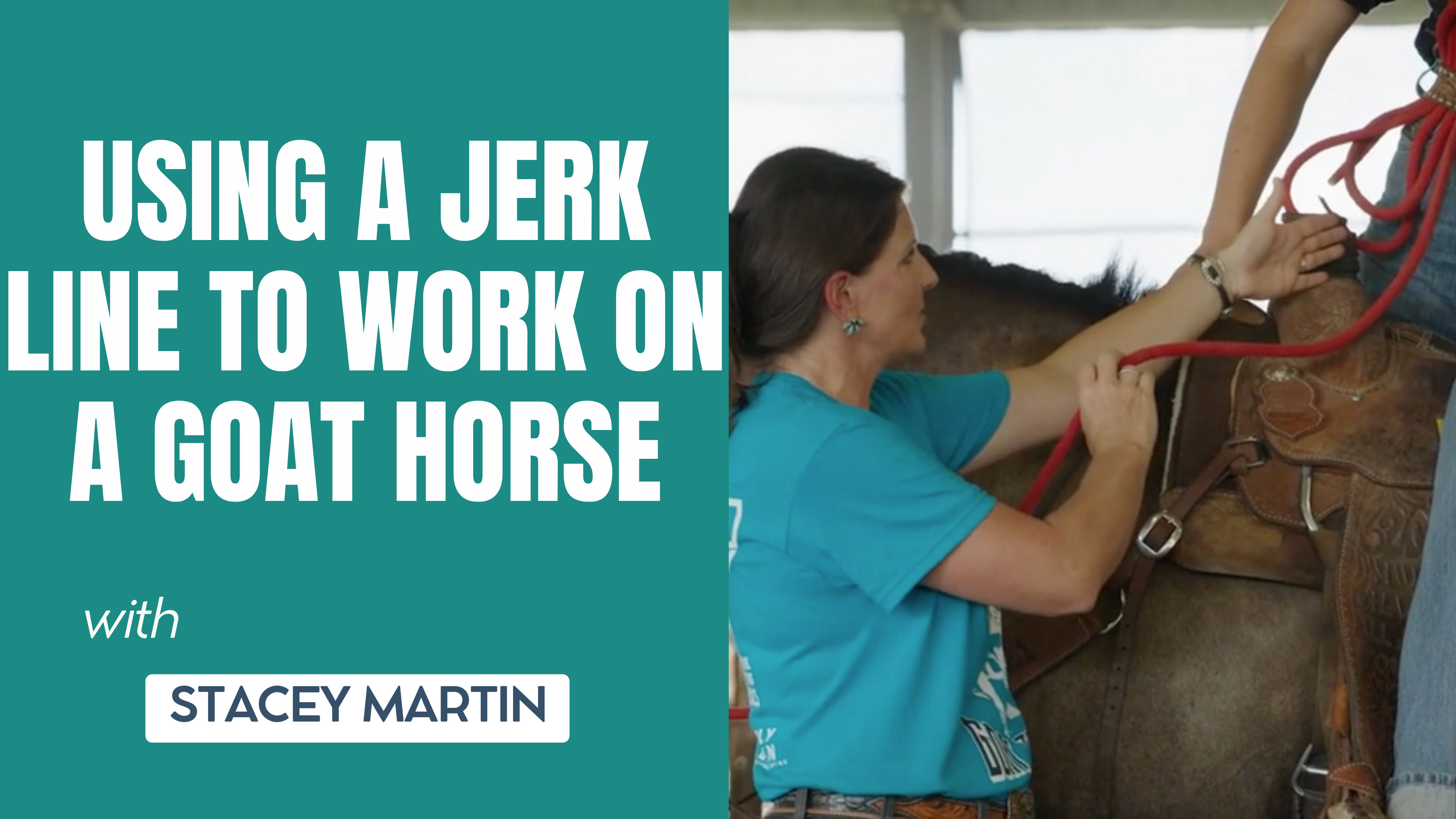Using a Jerk Line to Work on a Goat Horse