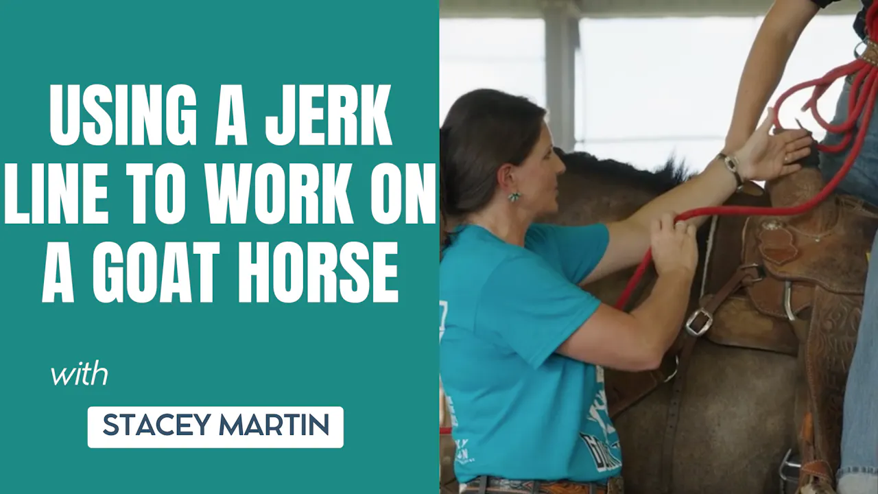 Goat Roping Entry System Using a Jerk Line to Work on a Goat Horse - Roping․com