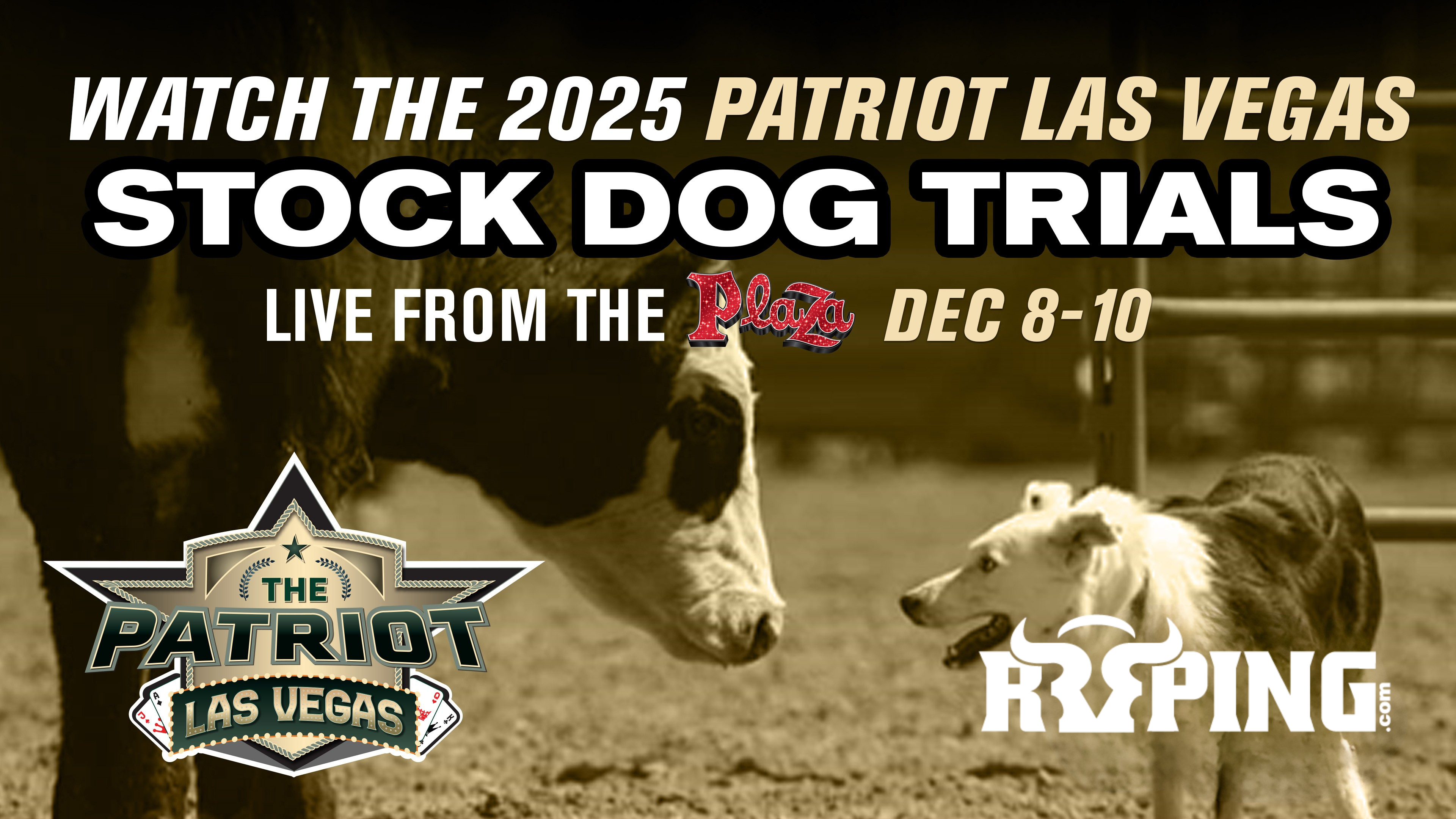 Patriot Las Vegas | Stock Dog Trials | December 8 - 10, 2025
