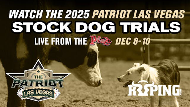 Stock Dog Trials | Patriot Las Vegas ...
