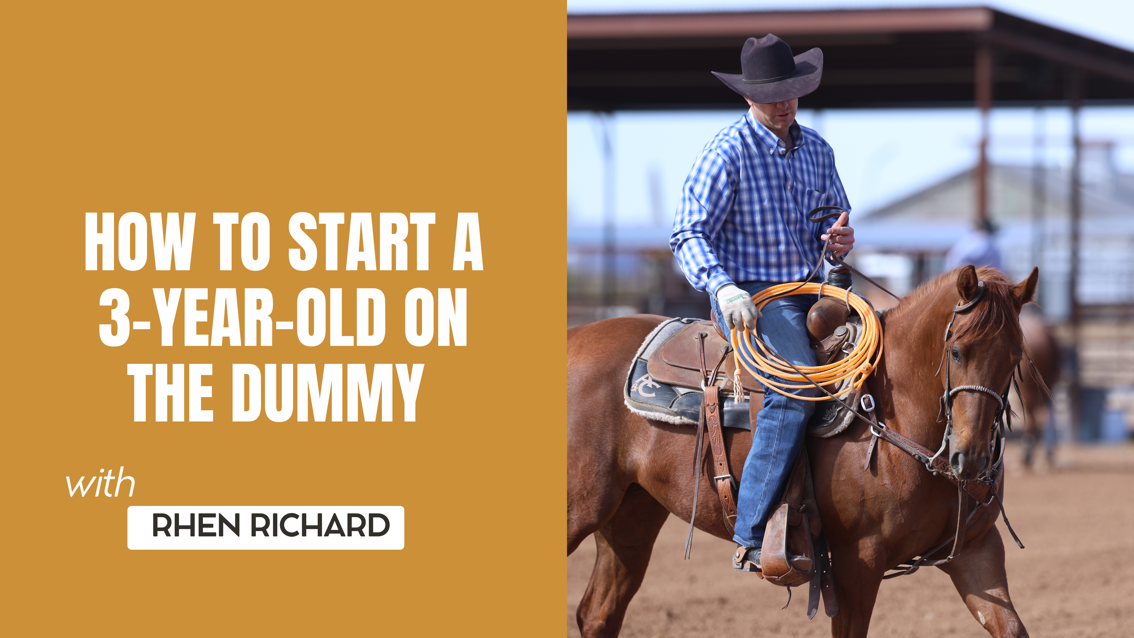 How to Start a 3-Year-Old on the Dummy