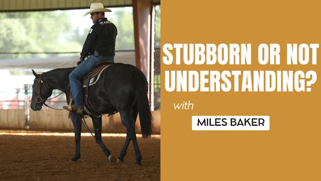 Stubborn or Not Understanding?
